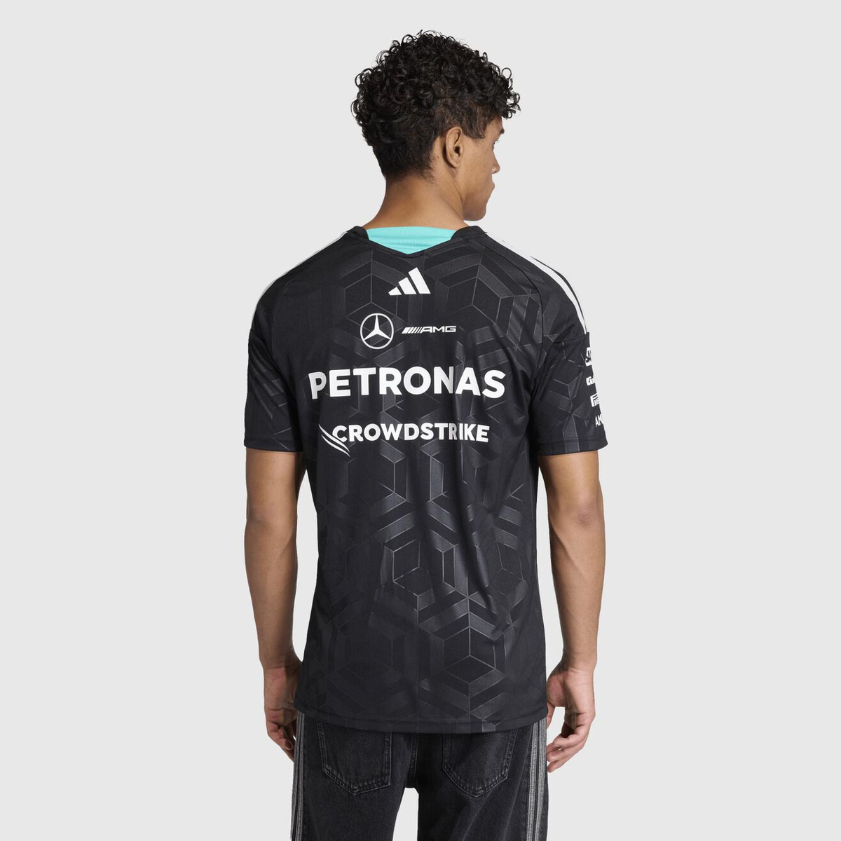Mercedes-AMG Petronas Formula 1 Team