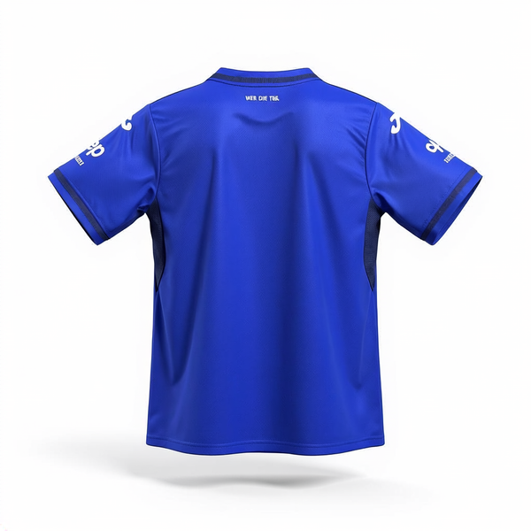 Hoffenheim Principal 24/25