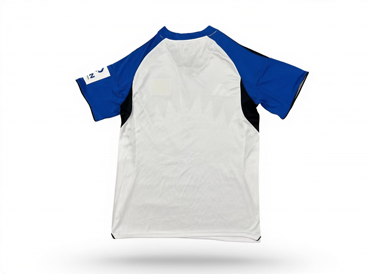 Hamburger SV Principal 25/26